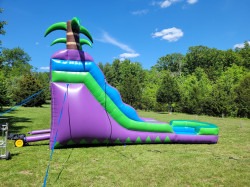 16 ft purple tropical water slide