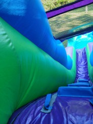 20240512 180558 1715558808 16 ft purple tropical water slide