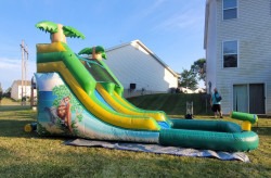 Safari Waterslide 12ft